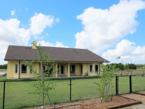 Back of Home with Zoysia Low Water Use Lawn Back of Home with Zoysia Low Water Use Lawn