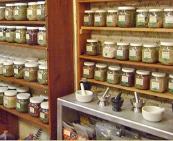 The Herb Store Austin Texas